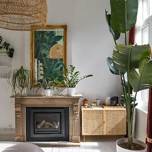 Bed & Breakfast Musa, Antwerpen